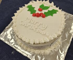 More Christmas Cake (7)